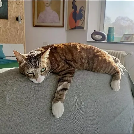 Casa Di Stefy Sant'orsola Bologne