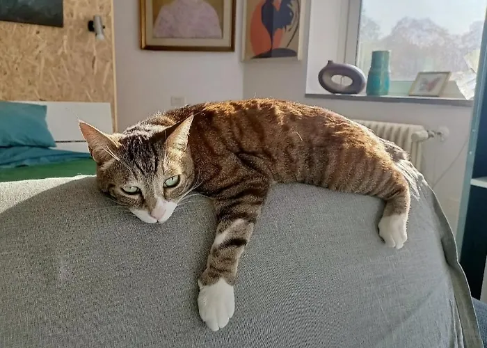 Casa Di Stefy Sant'orsola Bolonya